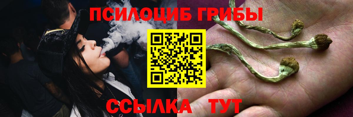 хочу наркоту  Вход с VPN  Михайловск  Псилоцибиновые грибы GOLDEN TEACHER 